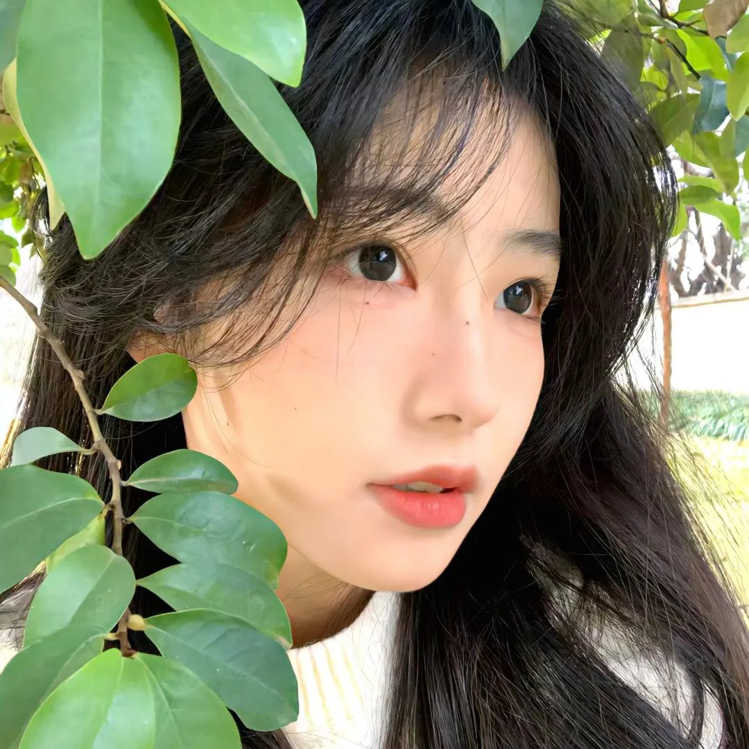 直到树枝弯曲